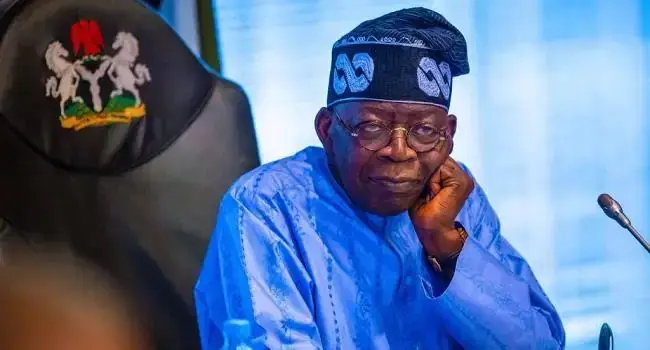 Power-hungry politicians plotting Tinubu’s removal — Presidency
