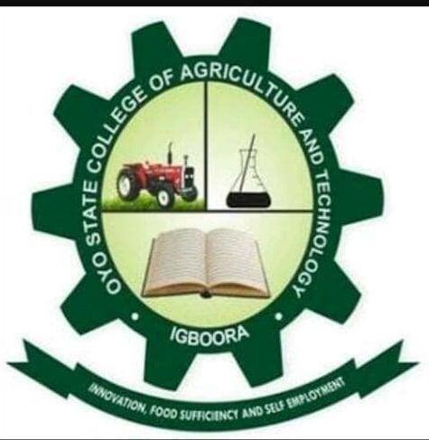 Oyo College Denies Viral Claims — Confirms Campus Is Safe, Not Under Siege